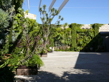 Enlarge photo 15