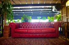 Enlarge photo 46