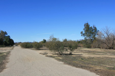 Sepulveda Basin (Encino Creek)