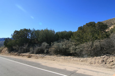 Enlarge photo 14