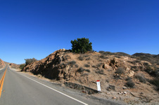 Enlarge photo 48