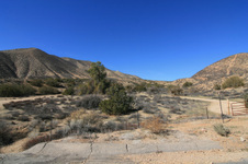 Enlarge photo 54