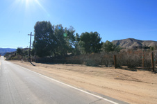 Enlarge photo 57