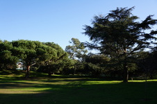 Enlarge photo 12