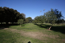 Enlarge photo 24