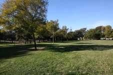 Enlarge photo 27