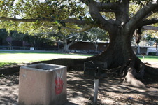 Enlarge photo 28