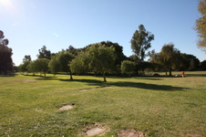 Enlarge photo 25