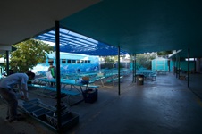 Enlarge photo 24
