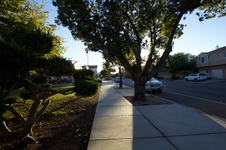 Enlarge photo 30