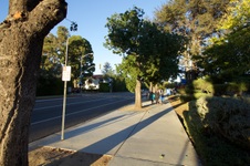 Enlarge photo 31