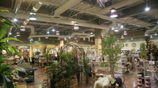 Enlarge photo 17