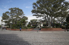 Enlarge photo 65