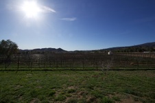 Enlarge photo 34