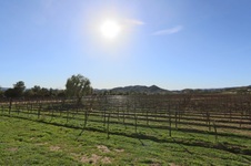 Enlarge photo 36