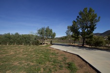 Enlarge photo 51