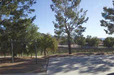 Enlarge photo 54