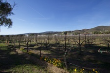 Enlarge photo 85