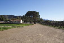 Enlarge photo 86