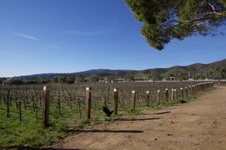 Enlarge photo 90