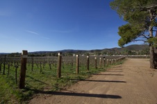 Enlarge photo 91