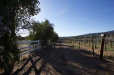 Enlarge photo 93