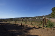 Enlarge photo 94