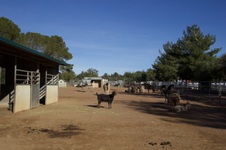 Enlarge photo 97