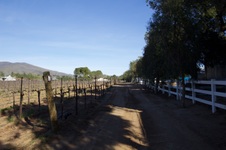 Enlarge photo 102