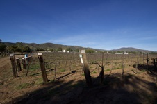 Enlarge photo 103