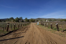 Enlarge photo 106