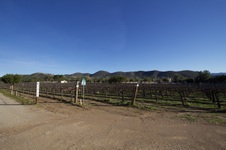 Enlarge photo 108