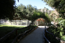 Enlarge photo 23