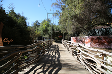 Enlarge photo 55