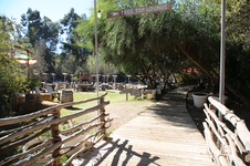 Enlarge photo 56