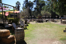 Enlarge photo 58