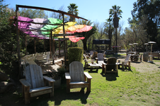 Enlarge photo 59