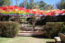 Enlarge photo 62