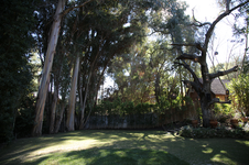 Enlarge photo 120