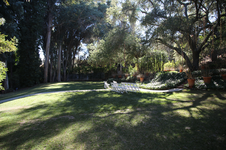 Enlarge photo 122