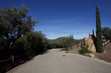 Enlarge photo 36
