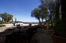 Enlarge photo 61