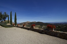 Enlarge photo 65