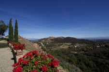 Enlarge photo 66
