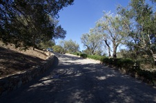 Enlarge photo 69