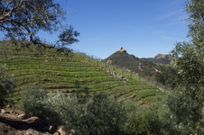 Enlarge photo 74