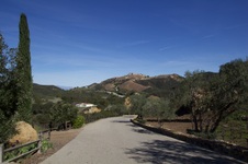 Enlarge photo 78