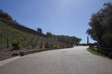 Enlarge photo 82