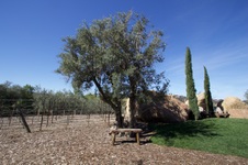 Enlarge photo 85