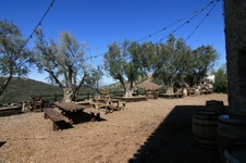 Enlarge photo 22